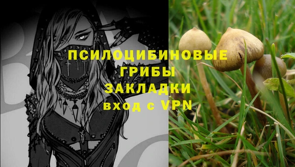 а пвп мука Кукмор