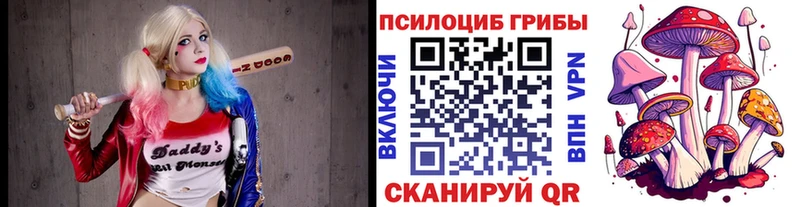 Купить закладки  Брюховецкая  Псилоцибиновые грибы прущие грибы 